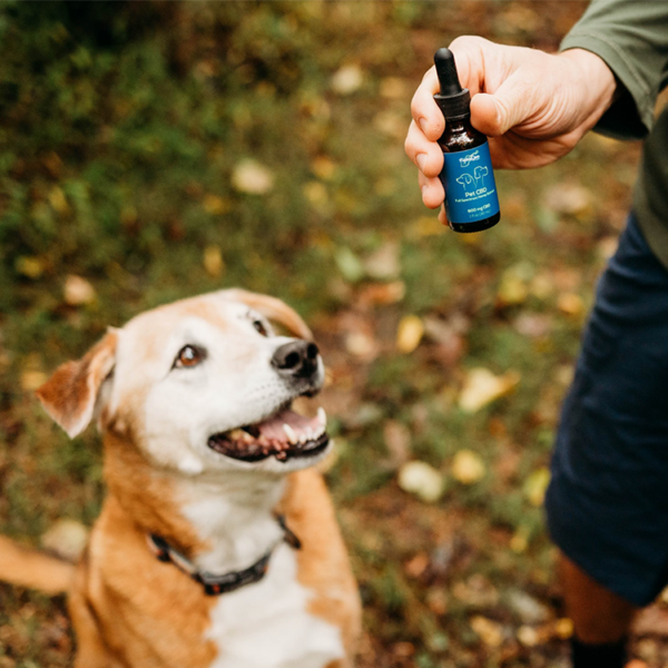 Pet Hemp Extract - Image 4