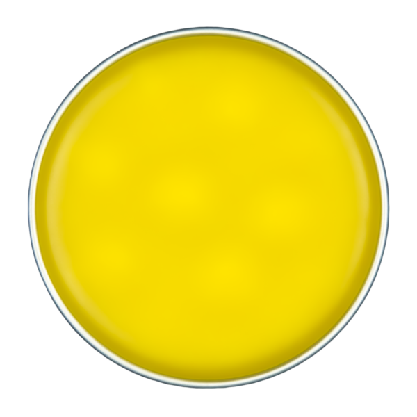 Soothed-Self Salve - Image 3